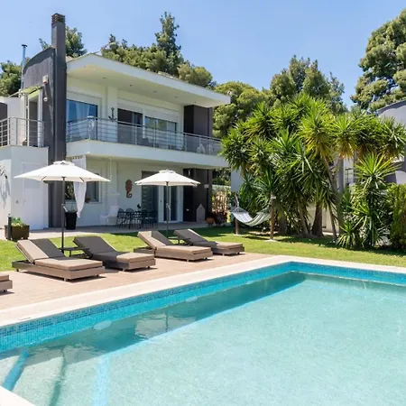 Eden Paliouri- Concordia Paliouri