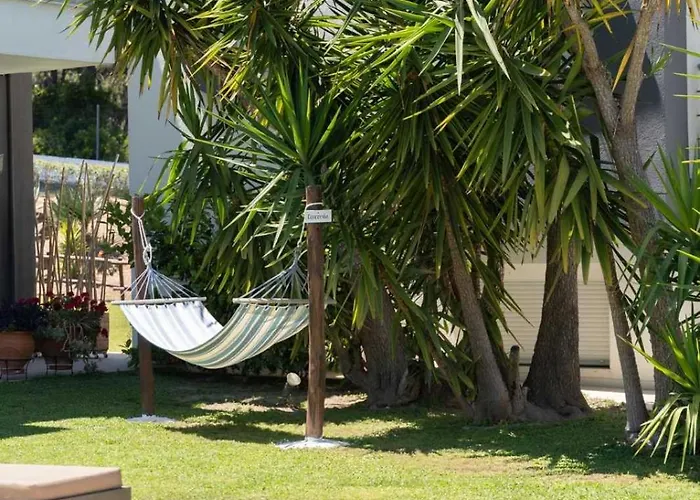 Eden Paliouri- Concordia